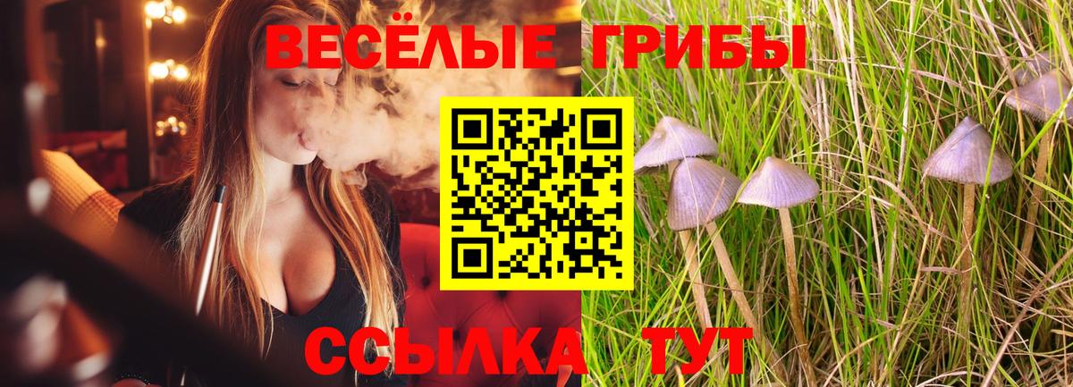Коряжма  Галлюциногенные грибы прущие грибы  Вход с VPN 
