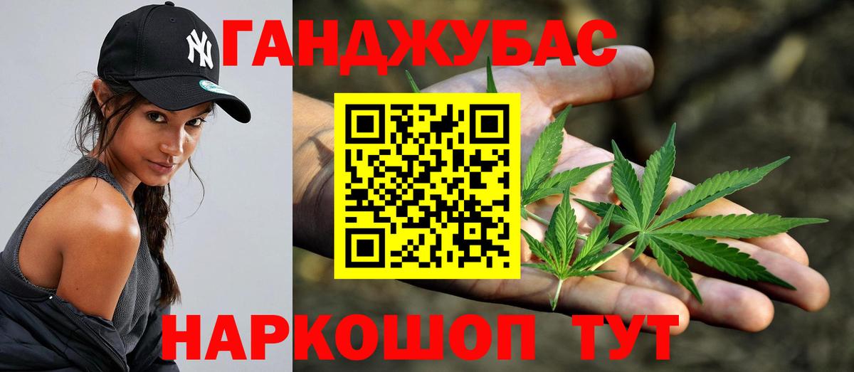 Конопля сатива Коряжма